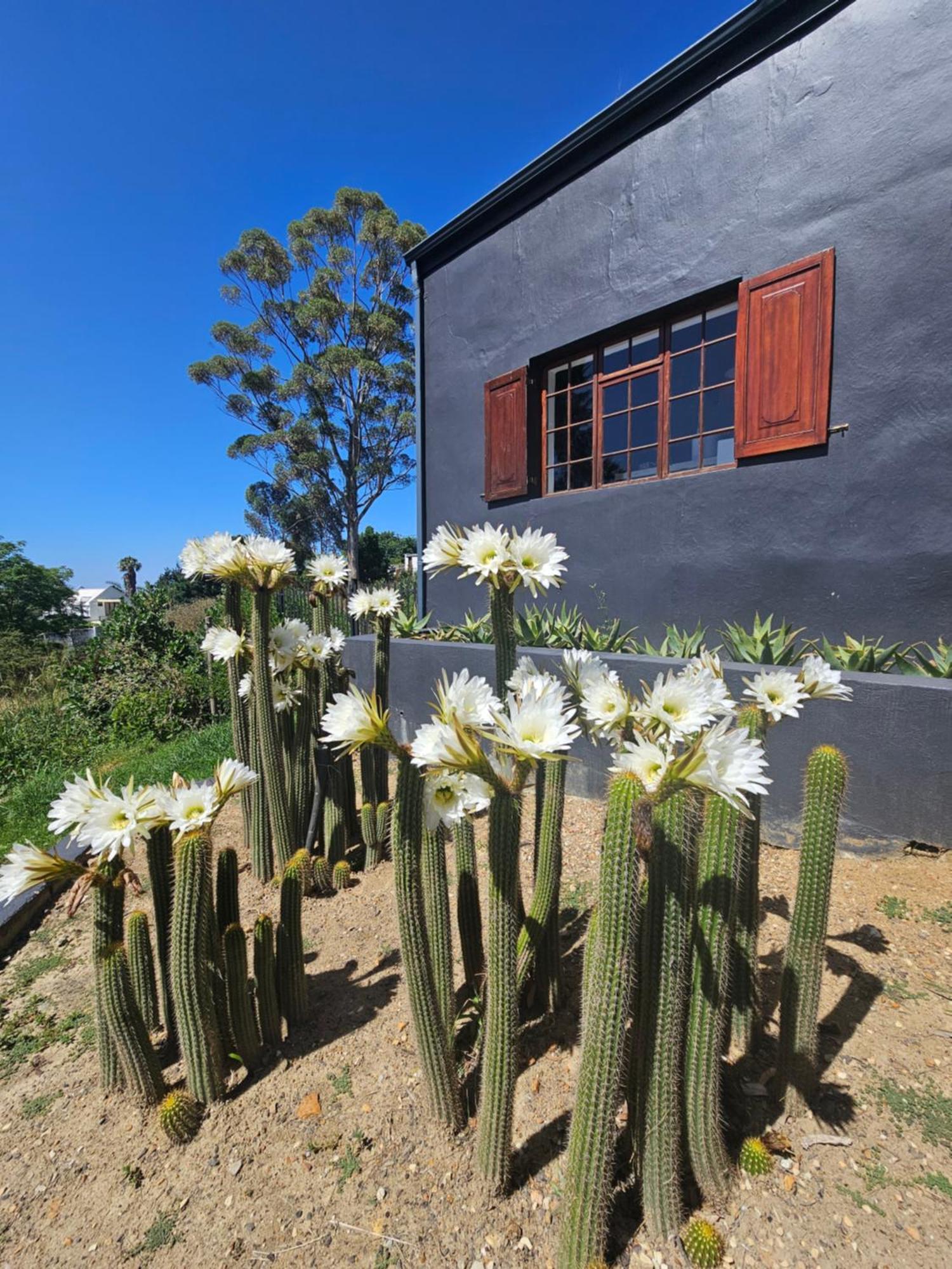 The Retreat Swellendamヴィラ エクステリア 写真